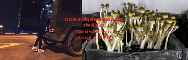 гашиш Инсар