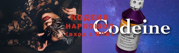 СК Каменка