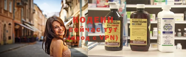СК Каменка